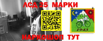 крисы Новодвинск
