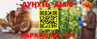 крисы Новодвинск