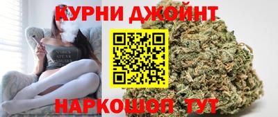 крисы Новодвинск