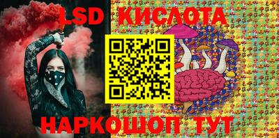 крисы Новодвинск