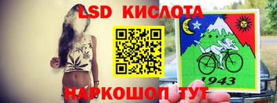 крисы Новодвинск