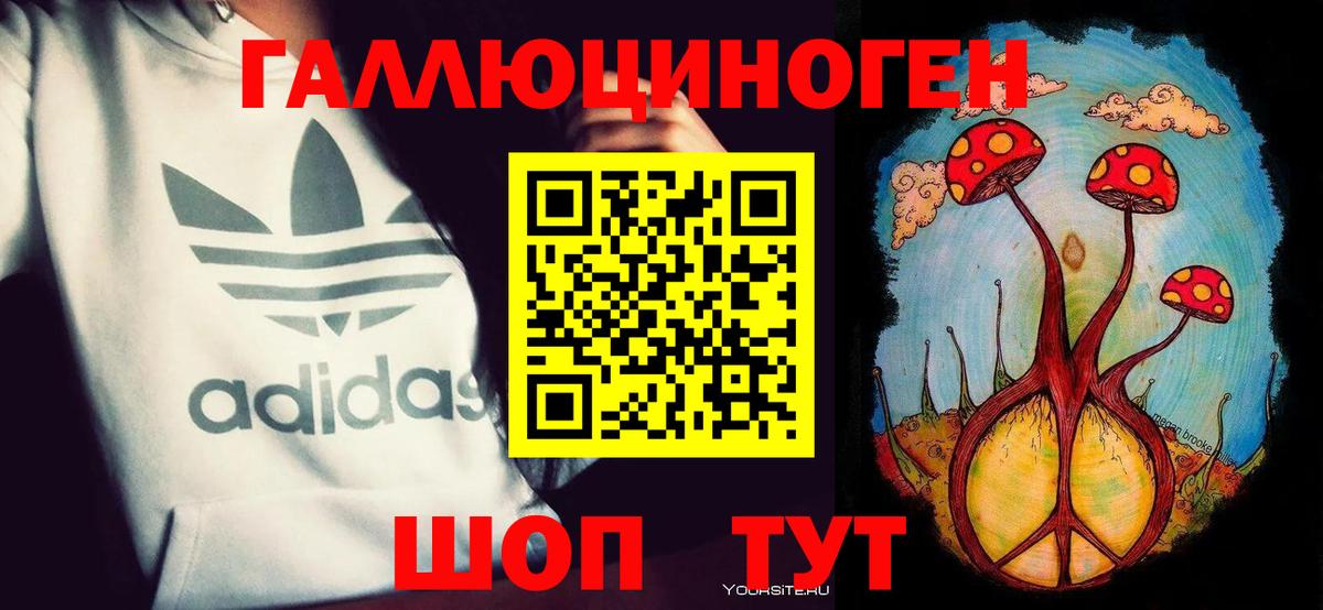 Псилоцибиновые грибы прущие грибы  магазин продажи   Чита  Вход с VPN 