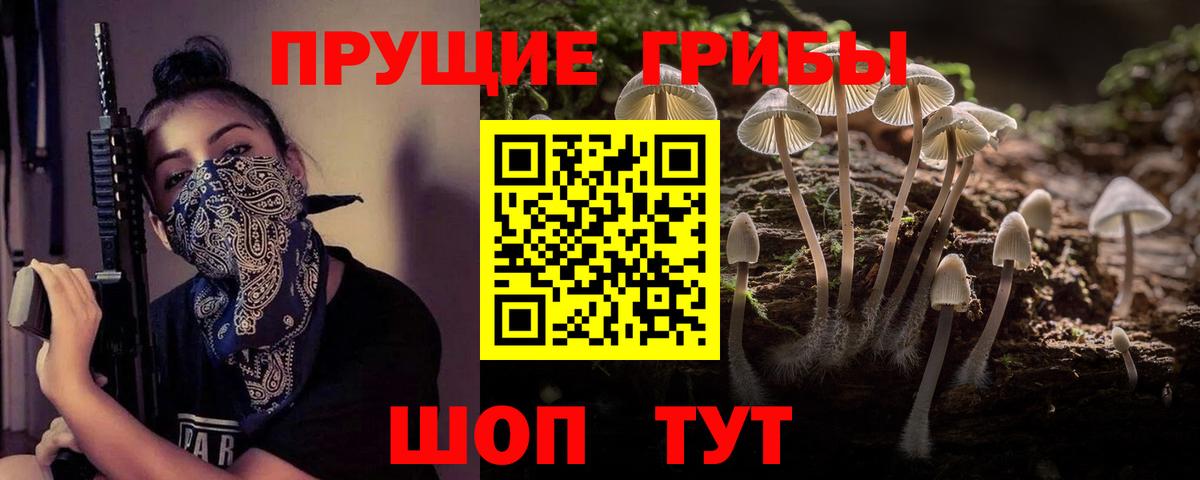 Псилоцибиновые грибы Psilocybine cubensis Чита